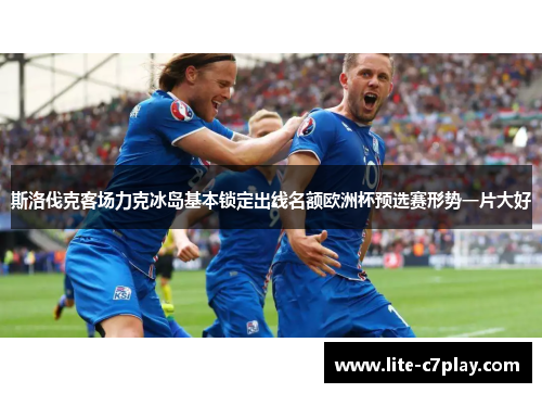 斯洛伐克客场力克冰岛基本锁定出线名额欧洲杯预选赛形势一片大好 斯洛伐克客场力克冰岛基本锁定出线名额欧洲杯预选赛形势一片大好