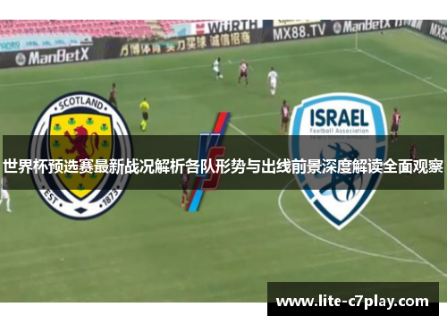 世界杯预选赛最新战况解析各队形势与出线前景深度解读全面观察